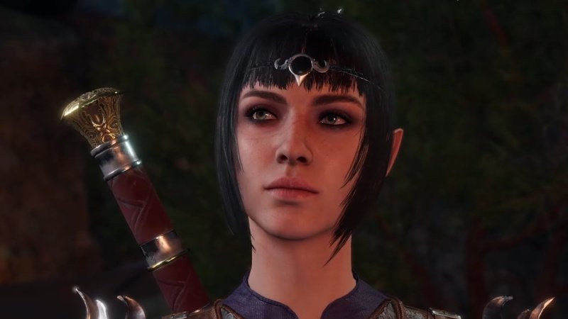 Baldur`s Gate 3 все спутники