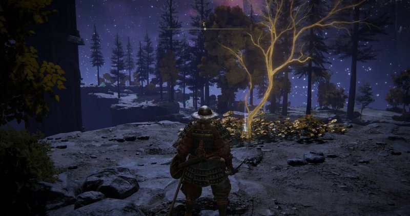 Где найти золотое семя в Elden Ring 10