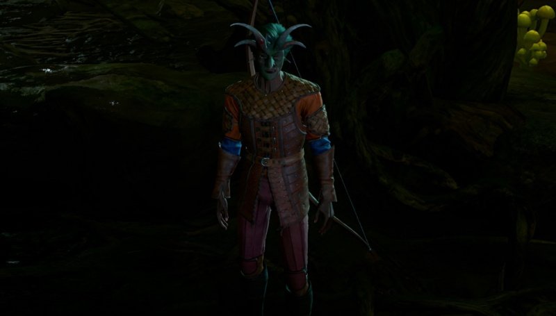 Baldur`s Gate 3 заросший тоннель