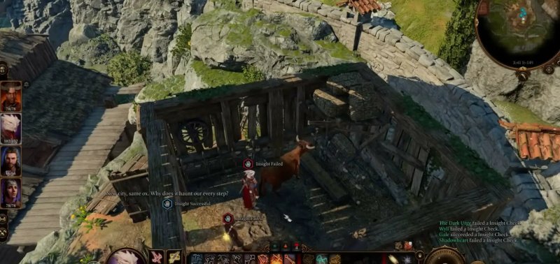 Baldur`s Gate 3 странный вол