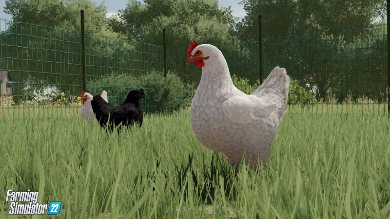 Farming Simulator 22 гайд по животным 6