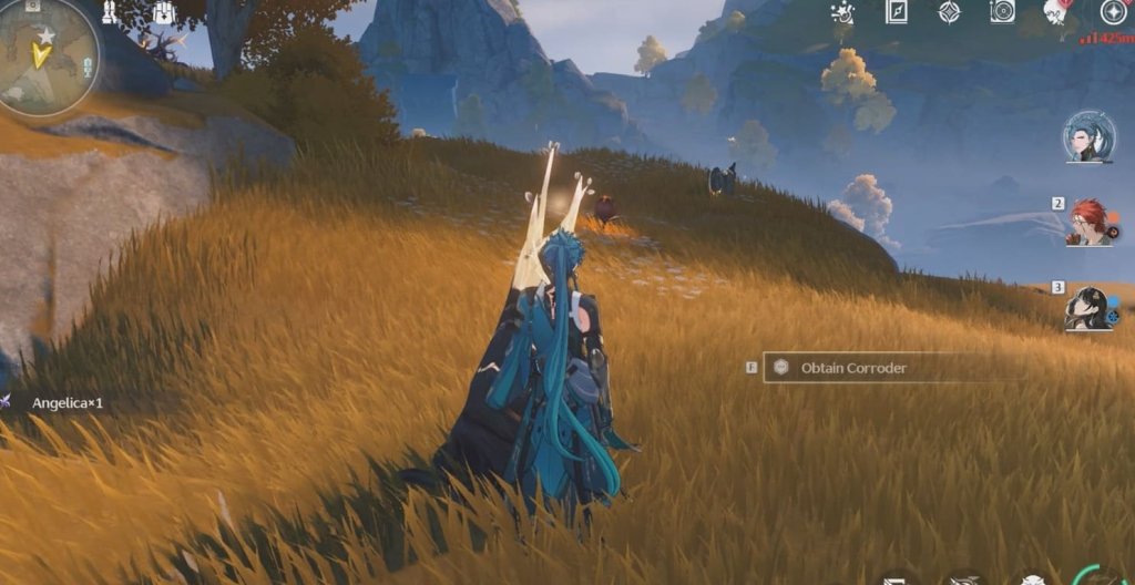 Wuthering Waves загадки