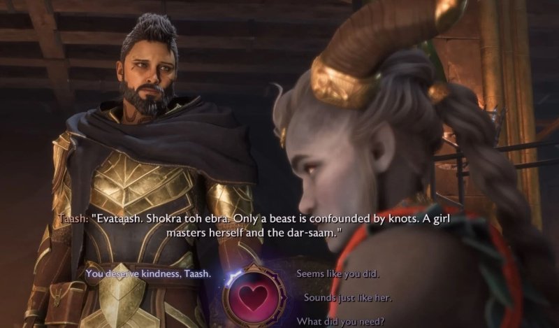 Dragon Age: The Veilguard роман с Тааш