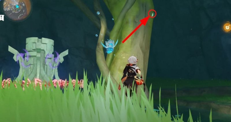 Решение всех головоломок в Разломе в Genshin Impact 36