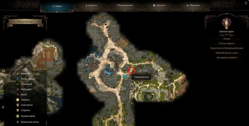 Baldur`s Gate 3 странный вол