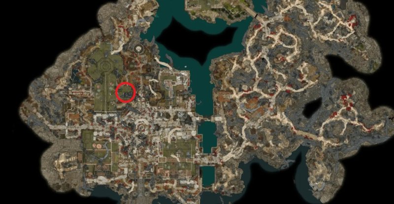 Baldur`s Gate 3 все торговцы