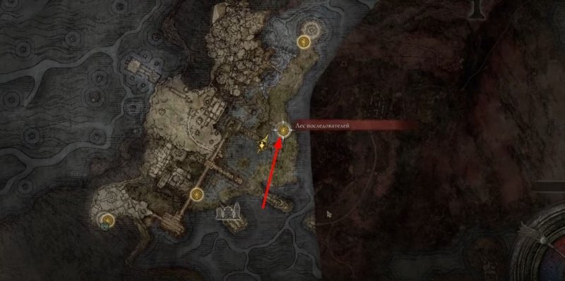 Где найти торговца в Elden Ring 17