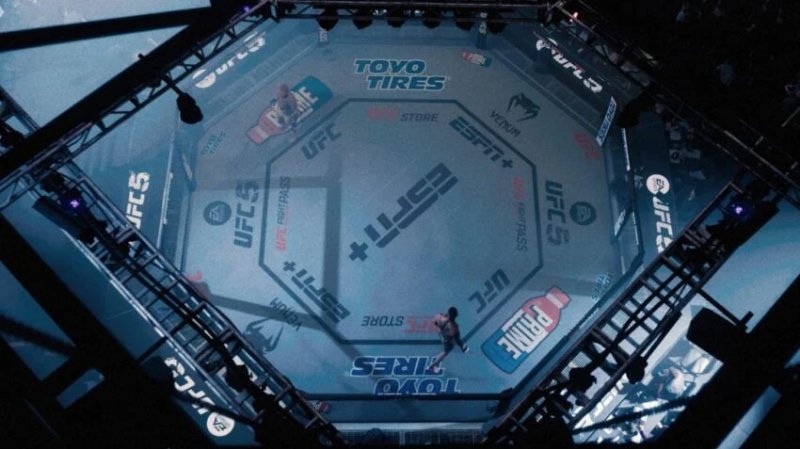 UFC 5