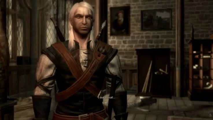 The Witcher