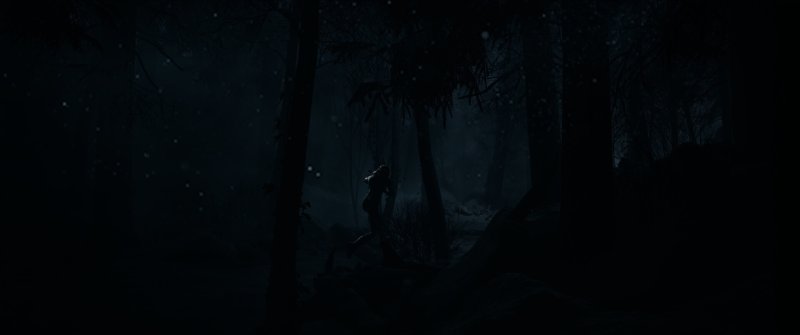 Until Dawn