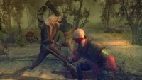 The Witcher
