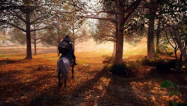 Возможная дата релиза Crimson Desert - 17 ноября 2022 года