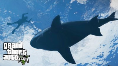 Где найти акулу в GTA 5?