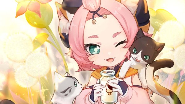 В Genshin Impact можно будет обзавестись собственным котиком