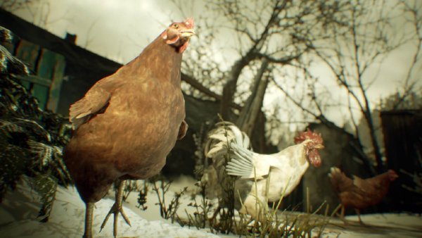 Все животные в Resident Evil: Village