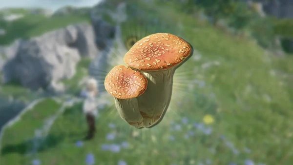 Розовый гриб в Arknights Endfield - как получить и для чего нужен