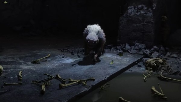 Гайд по мутантам в STALKER 2: какие бывают, как победить