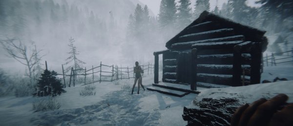 Трейлер с датой релиза Sons of the Forest