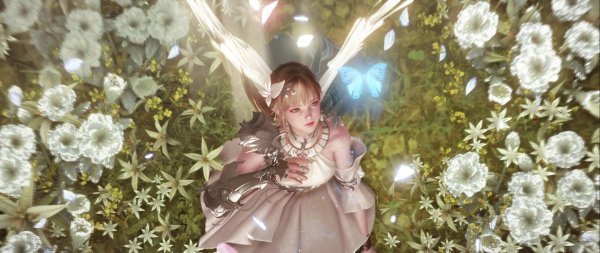 Гербарий Тортоика в Lost Ark