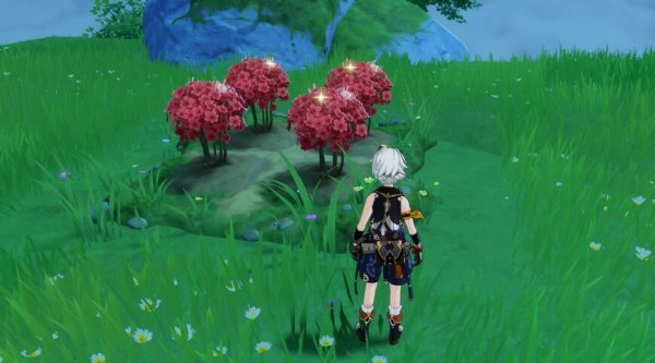 Шелковица в Genshin Impact