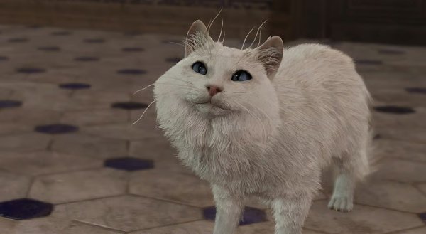 Разговор с животными в Baldur`s Gate 3 — как изучить способность?