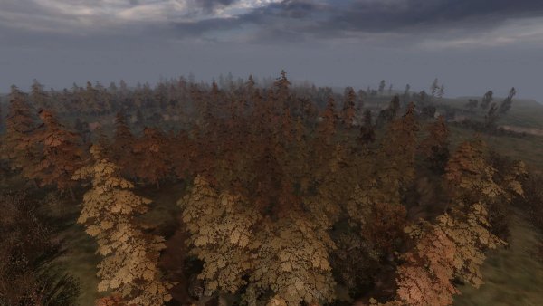 Все схроны в Рыжем лесу в STALKER 2