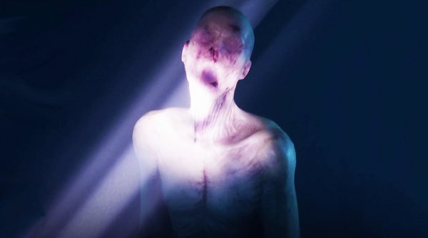 Все, что известно об игре Sons of the Forest на данный момент