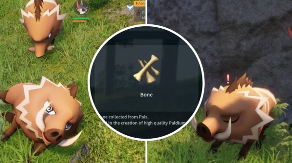 Кости в Palworld — с кого можно выбить