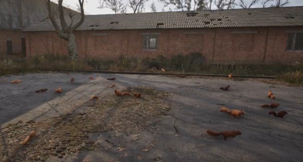 В STALKER 2 появятся белки