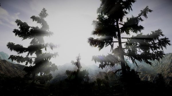 Графику из Sons of The Forest сравнили с картинкой из The Forest