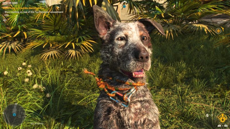 Far Cry 6 Как получить собаку Бум-Бум
