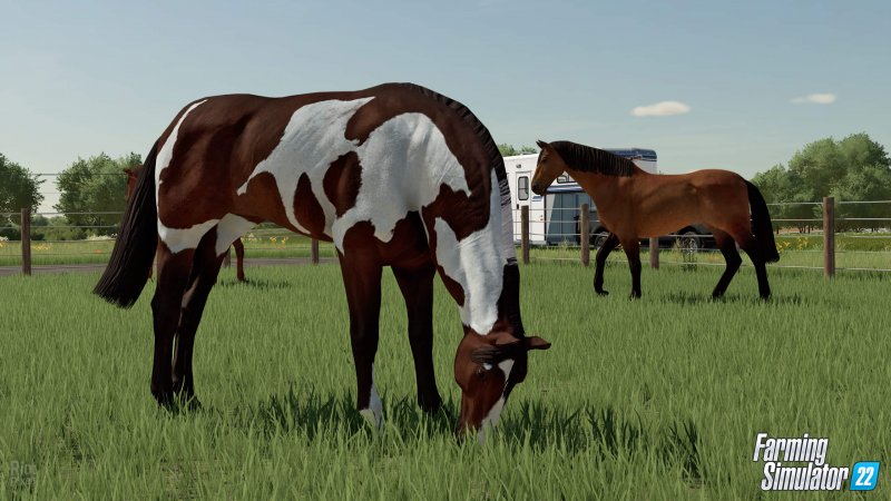 Farming Simulator 22 гайд по животным 8