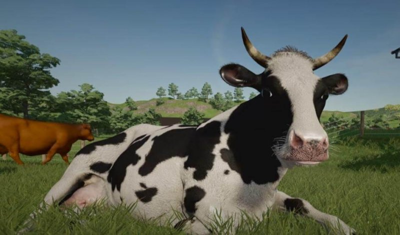 Farming Simulator 22 гайд по животным 10