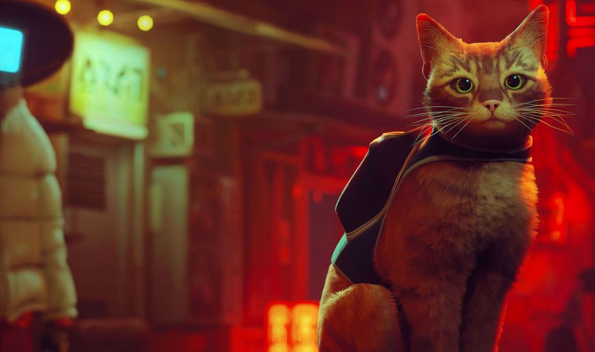 Разработчики Stray рассказали о кошке, подарившей голос главному герою игры