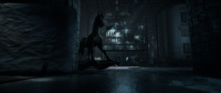 Until Dawn