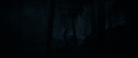 Until Dawn